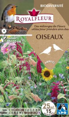 Des mélanges de Fleurs utiles pour prendre soin des OISEAUX fleurs