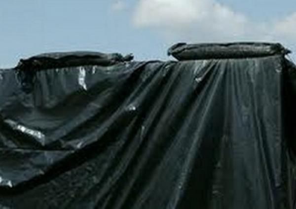 Bâche plastique d'ensilage noir/noir, le rouleau de 12m x 50m (150